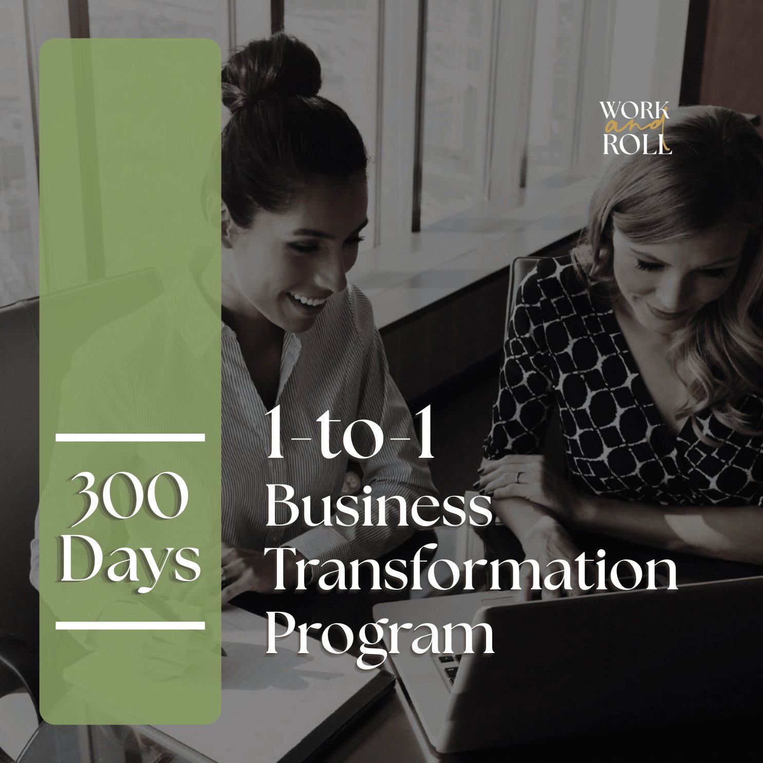 1-to-1 Business Transformation 300 Days Program